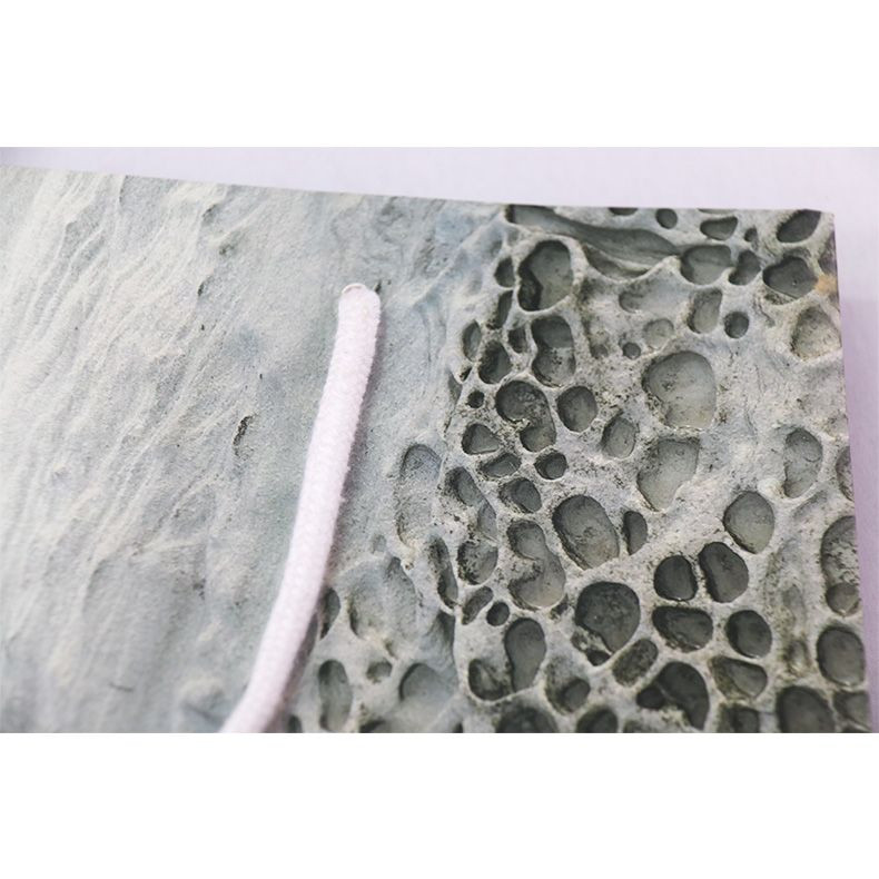 PRINTED FANCY COLOR PAPER BAG